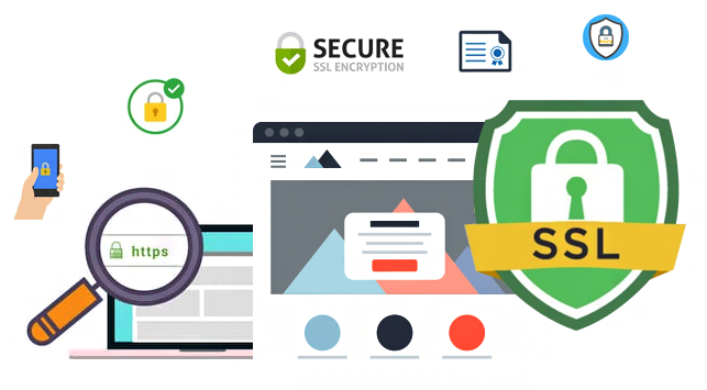 Hangi SSL Sertifikası Seçilmelidir?