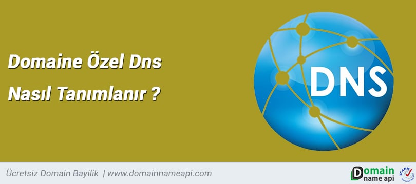 Domaine Özel DNS nasıl tanımlanır?