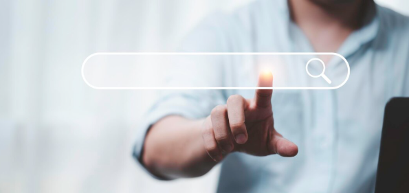 RDDS – Domain WHOIS Verification and Suspension Process