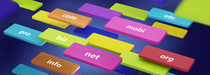 Types and Options of Domains