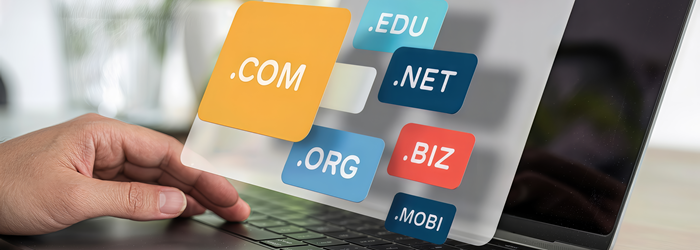 What Is a Domain? A Simple Definition