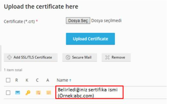 How to Install an SSL Certificate on Plesk Panel