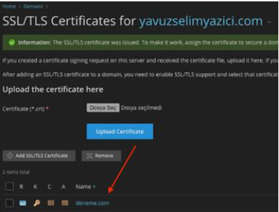 How to Install an SSL Certificate on Plesk Panel