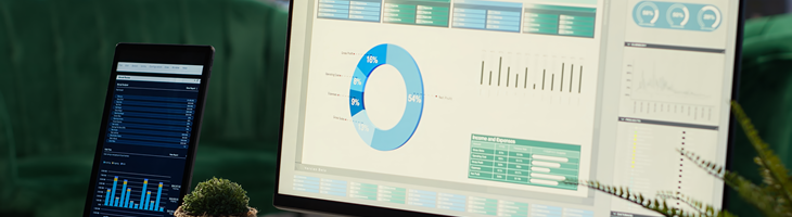 Multi-Currency and Exchange Rate Optimization for WiseCP