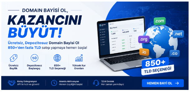 Domain Bayisi Nasıl Olunur? Domain Reseller Rehberi