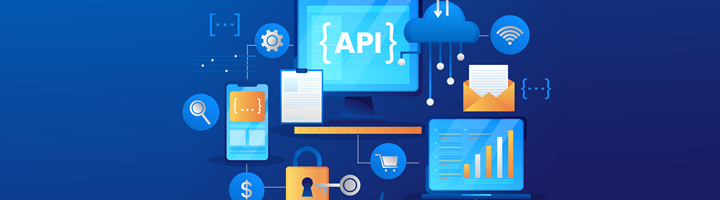 Domain Reseller API Nedir?