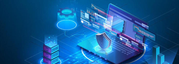 The .RU Domain ESIA Mandate: Trustee, Transfer & Enterprise Decision Guide