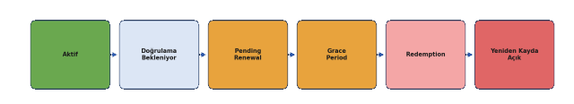 The .RU Domain ESIA Mandate: Trustee, Transfer & Enterprise Decision Guide