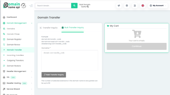 Toplu Domain Transferi Rehberi
