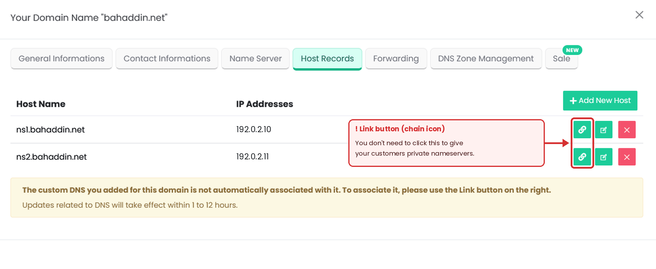 Figure 4 – ns1 and ns2 are in place. You don't need the Link (chain) button to give customers private nameservers. IP addresses shown are examples.
