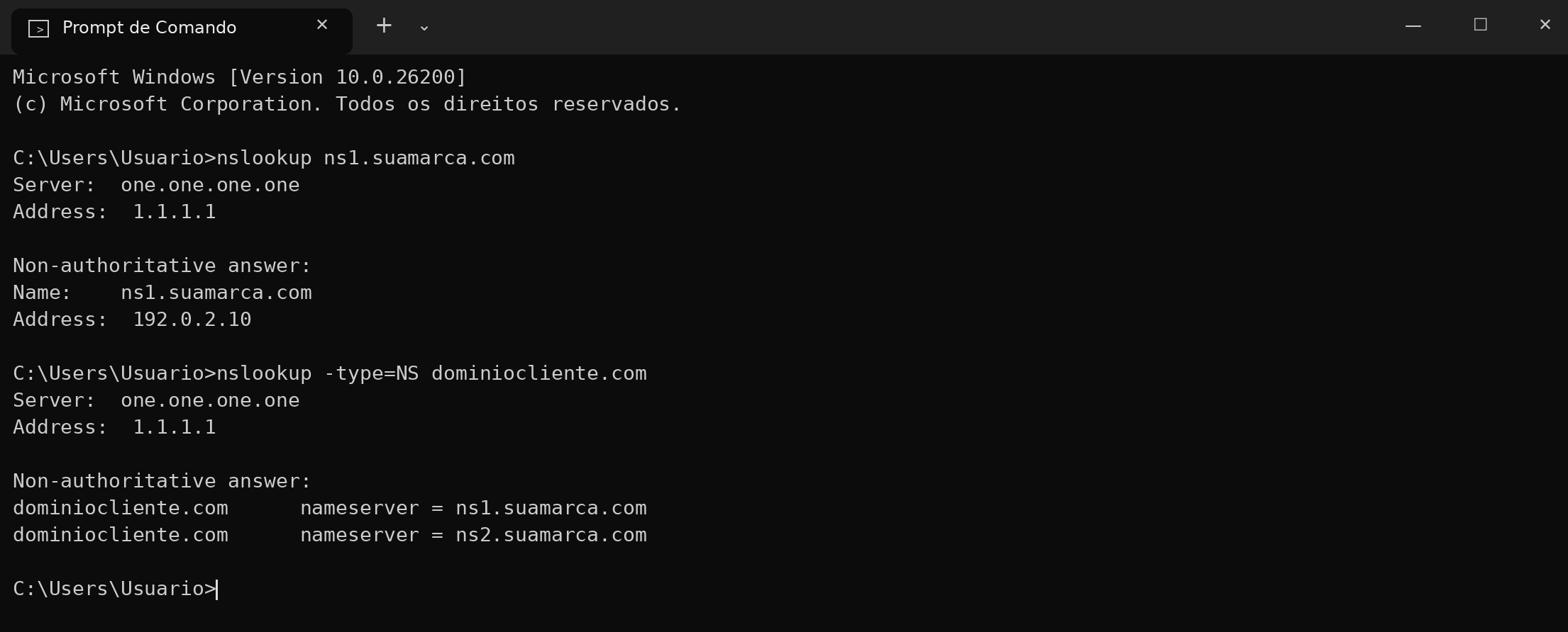 Figura 6 – Exemplo de resultado: ns1 aponta para o IP certo e o domínio do cliente mostra ns1/ns2. Domínios e IPs são exemplos.
