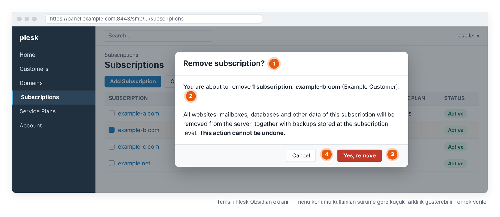 Görsel 14 – Silme onayı: subscription adını ve kapsamı son kez kontrol edin. Temsilî Plesk Obsidian ekranı — menü konumu kullanılan sürüme göre küçük farklılık gösterebilir.