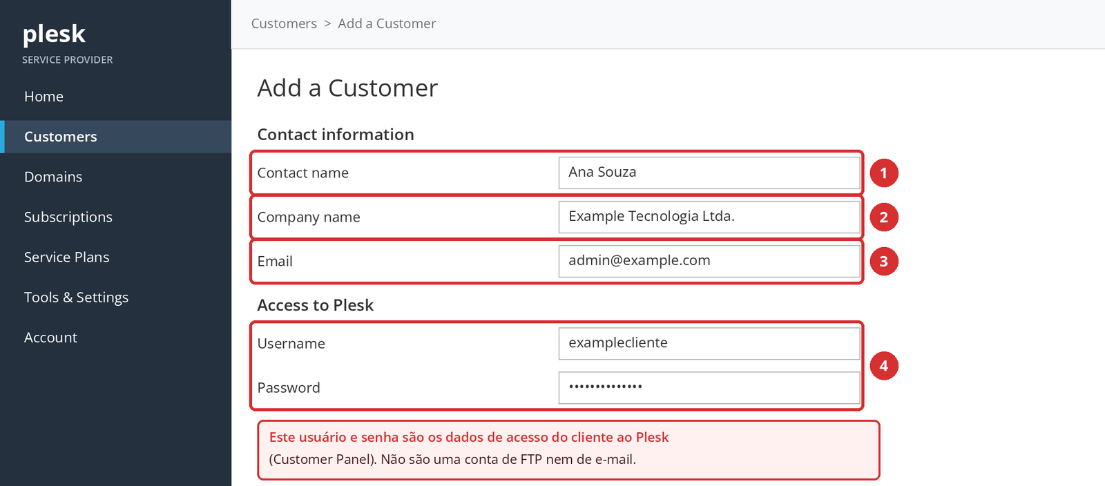 Figura 3 – Dados de contato (1–3) e acesso do cliente ao Plesk (4). Dados de exemplo; tela ilustrativa.