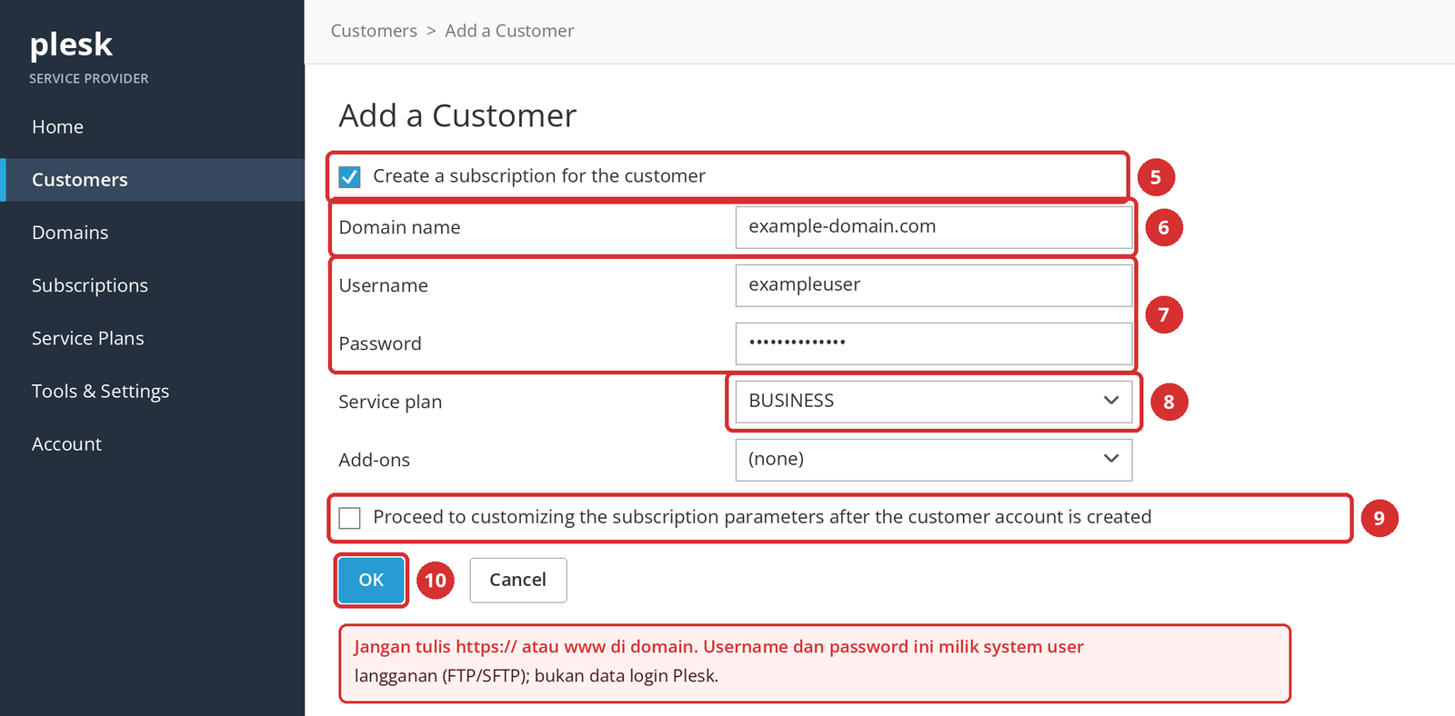 Gambar 4 – Kotak langganan (5), domain (6), system user (7), Service Plan (8), opsi kustomisasi (9), dan OK (10). Tampilan ilustrasi.