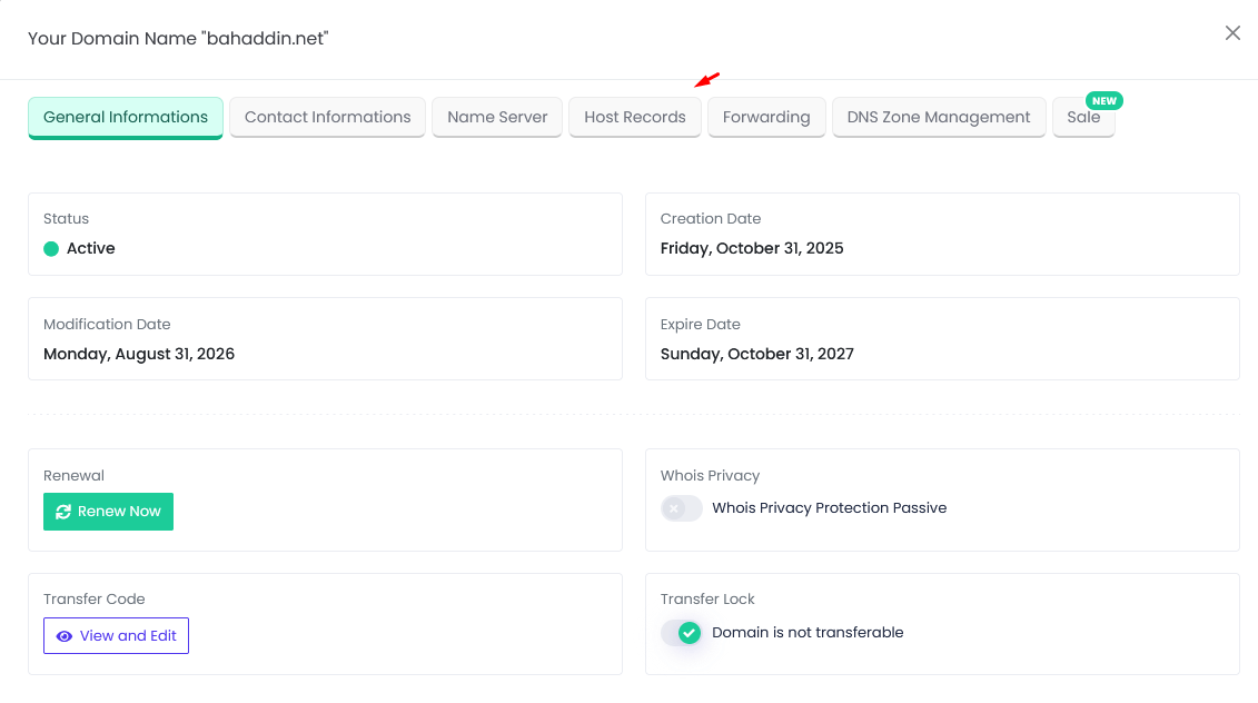 Figure 3 – Domain window: switch to the Host Records tab.