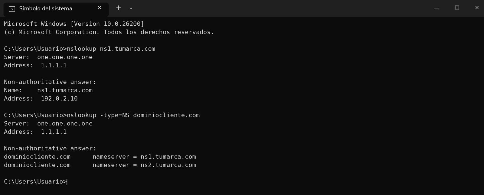 Figura 6 – Ejemplo de resultado: ns1 resuelve a la IP correcta y el dominio muestra ns1/ns2. Los dominios y las IP son de ejemplo.