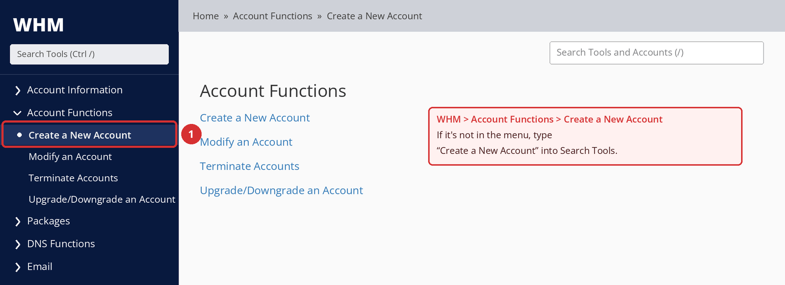 Figure 2 – WHM > Account Functions > Create a New Account. Illustrative screen; the interface may differ depending on your WHM version and account permissions.