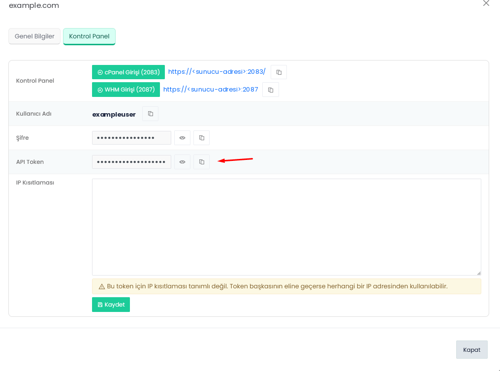 Figure 3 – The Control Panel tab (“Kontrol Panel” in the Turkish interface): panel addresses, username, password, and API token. The server address and username are masked.
