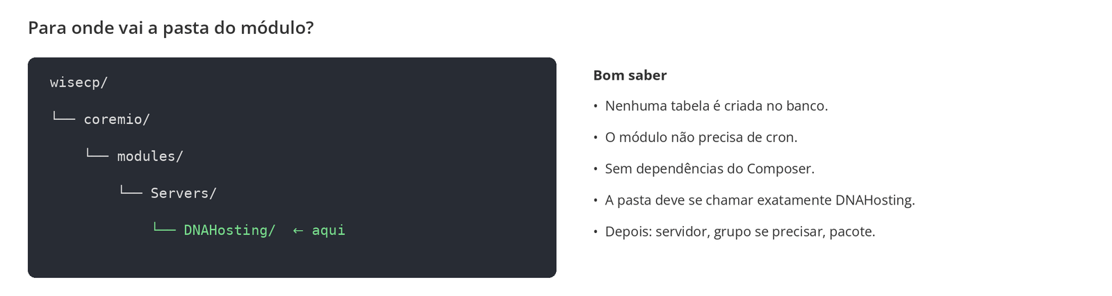 Figura 5 – Onde a pasta DNAHosting fica dentro do WiseCP.